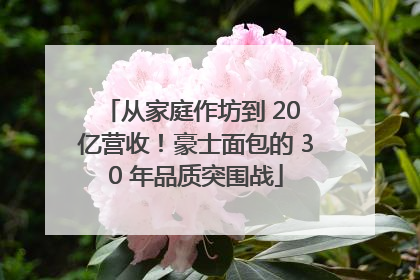 从家庭作坊到 20 亿营收！豪士面包的 30 年品质突围战