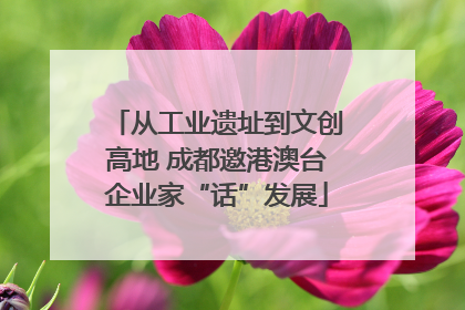从工业遗址到文创高地 成都邀港澳台企业家“话”发展