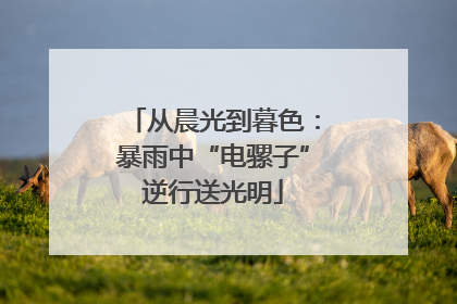 从晨光到暮色：暴雨中“电骡子”逆行送光明