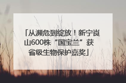 从濒危到绽放！新宁崀山600株“国宝兰”获省级生物保护嘉奖