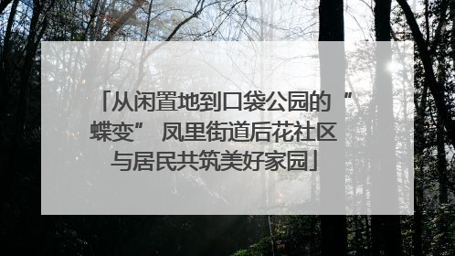 从闲置地到口袋公园的“蝶变” 凤里街道后花社区与居民共筑美好家园