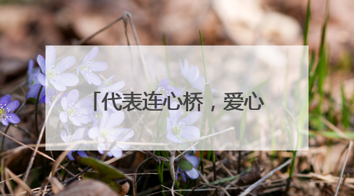 代表连心桥，爱心接力行，常州北港街道人大代表爱心捐助活动再出发