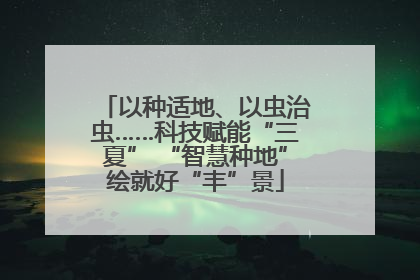 以种适地、以虫治虫……科技赋能“三夏” “智慧种地”绘就好“丰”景