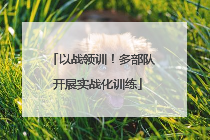 以战领训！多部队开展实战化训练