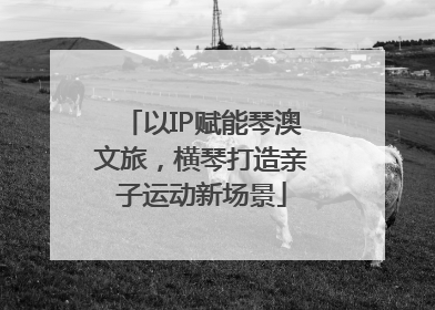 以IP赋能琴澳文旅，横琴打造亲子运动新场景