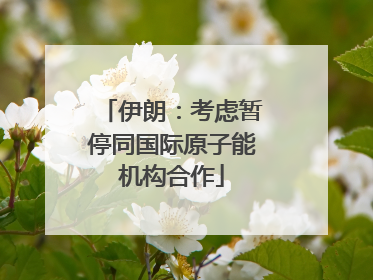 伊朗：考虑暂停同国际原子能机构合作