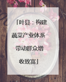 叶县：构建蔬菜产业体系 带动群众增收致富