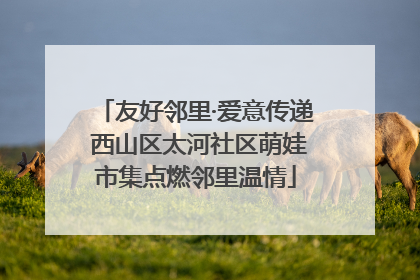 友好邻里·爱意传递 西山区太河社区萌娃市集点燃邻里温情