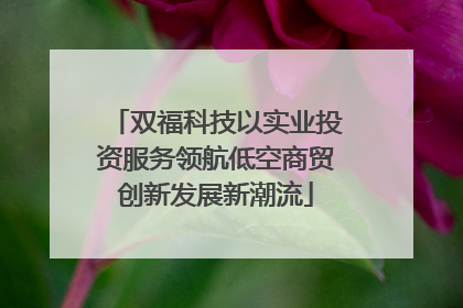 双福科技以实业投资服务领航低空商贸创新发展新潮流