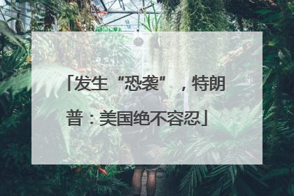 发生“恐袭”，特朗普：美国绝不容忍