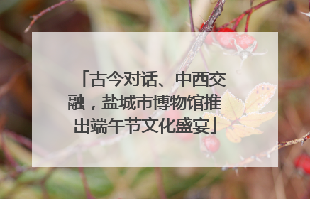 古今对话、中西交融，盐城市博物馆推出端午节文化盛宴