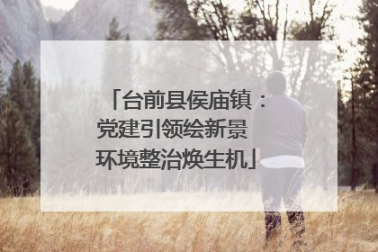 台前县侯庙镇：党建引领绘新景 环境整治焕生机