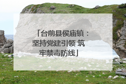 台前县侯庙镇：坚持党建引领 筑牢禁毒防线