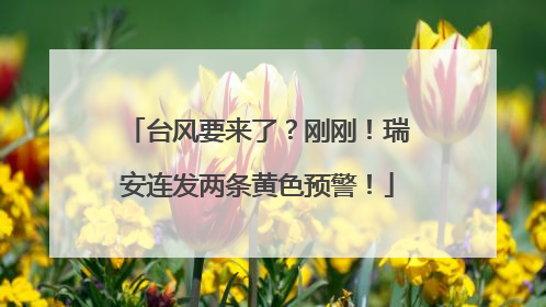 台风要来了？刚刚！瑞安连发两条黄色预警！