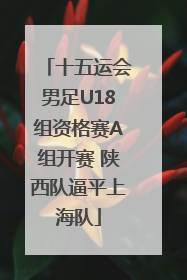 十五运会男足U18组资格赛A组开赛 陕西队逼平上海队