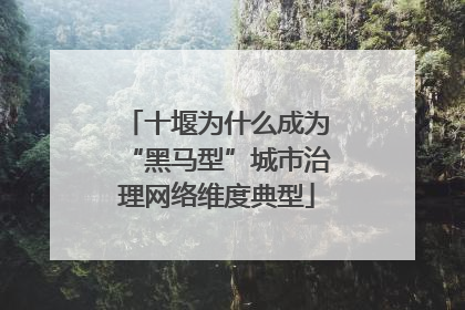 十堰为什么成为“黑马型”城市治理网络维度典型
