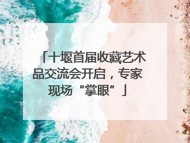 十堰首届收藏艺术品交流会开启，专家现场“掌眼”