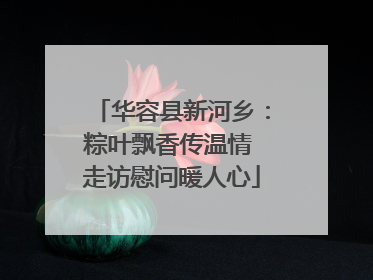 华容县新河乡：粽叶飘香传温情 走访慰问暖人心