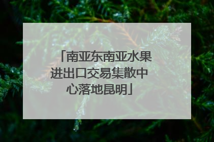 南亚东南亚水果进出口交易集散中心落地昆明