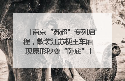 南京“苏超”专列启程，散装江苏梗王车厢现原形秒变“卧底”