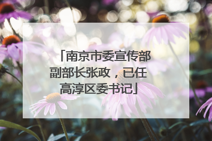 南京市委宣传部副部长张政，已任高淳区委书记