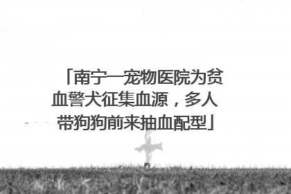 南宁一宠物医院为贫血警犬征集血源，多人带狗狗前来抽血配型