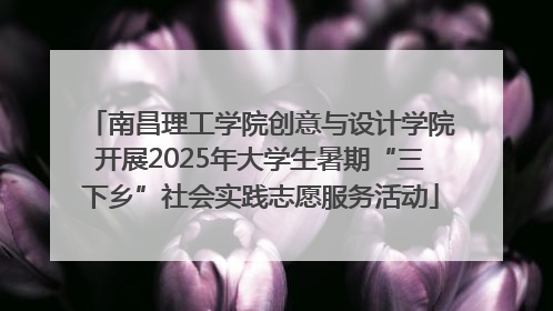 南昌理工学院创意与设计学院开展2025年大学生暑期“三下乡”社会实践志愿服务活动