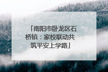 南阳市卧龙区石桥镇：家校联动共筑平安上学路