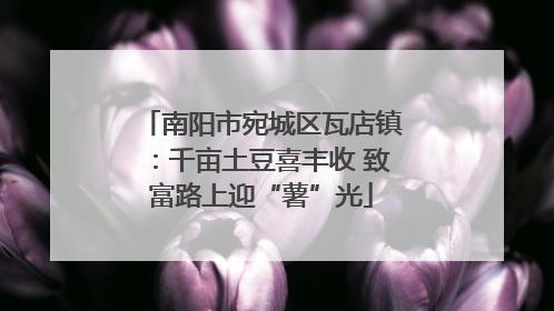 南阳市宛城区瓦店镇：千亩土豆喜丰收 致富路上迎“薯”光