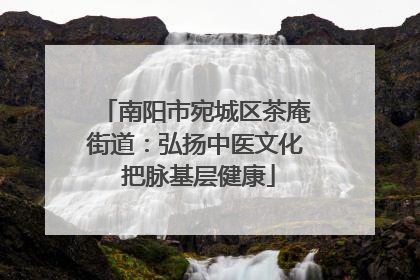 南阳市宛城区茶庵街道：弘扬中医文化 把脉基层健康