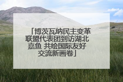 博茨瓦纳民主变革联盟代表团到访湖北嘉鱼 共绘国际友好交流新画卷