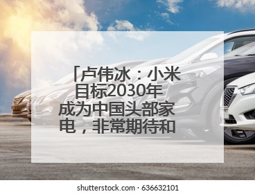 卢伟冰：小米目标2030年成为中国头部家电，非常期待和美的海尔并列