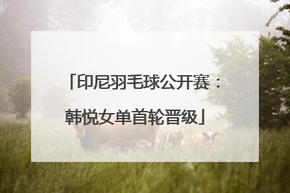 印尼羽毛球公开赛：韩悦女单首轮晋级
