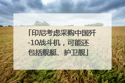 印尼考虑采购中国歼-10战斗机，可能还包括舰艇、护卫舰
