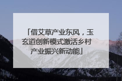 借艾草产业东风，玉玄道创新模式激活乡村产业振兴新动能