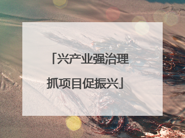 兴产业强治理 抓项目促振兴