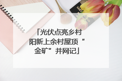 光伏点亮乡村 阳新上余村屋顶“金矿”并网记