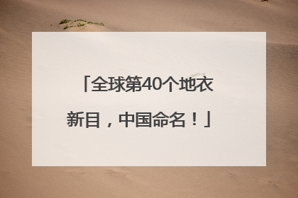 全球第40个地衣新目，中国命名！
