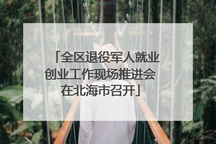 全区退役军人就业创业工作现场推进会在北海市召开