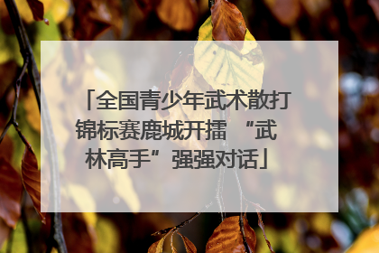 全国青少年武术散打锦标赛鹿城开擂 “武林高手”强强对话