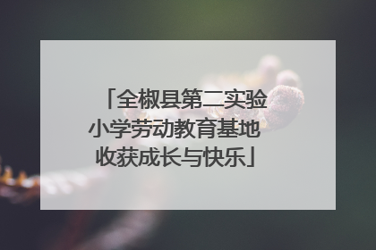 全椒县第二实验小学劳动教育基地收获成长与快乐