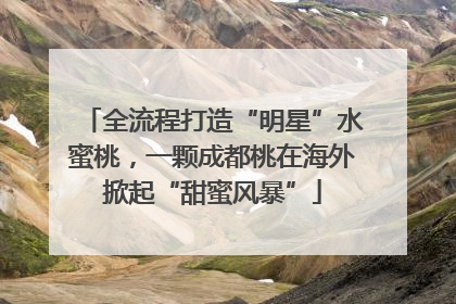 全流程打造“明星”水蜜桃，一颗成都桃在海外掀起“甜蜜风暴”