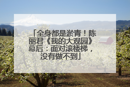 全身都是淤青！陈丽君《我的大观园》幕后：面对滚楼梯，没有做不到