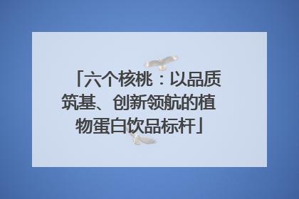 六个核桃：以品质筑基、创新领航的植物蛋白饮品标杆
