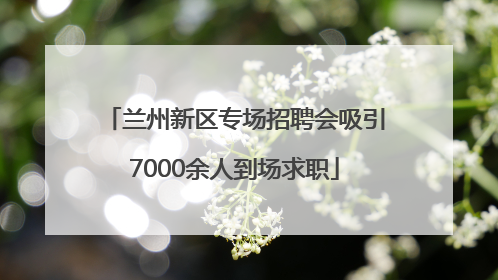 兰州新区专场招聘会吸引7000余人到场求职