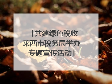 共建绿色税收 莱西市税务局举办专题宣传活动