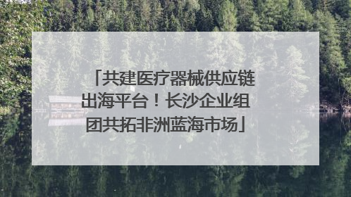 共建医疗器械供应链出海平台！长沙企业组团共拓非洲蓝海市场