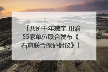 共护千年瑰宝 川渝55家单位联合发布《石窟联合保护倡议》