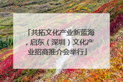 共拓文化产业新蓝海，启东（深圳）文化产业招商推介会举行
