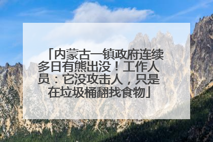 内蒙古一镇政府连续多日有熊出没！工作人员：它没攻击人，只是在垃圾桶翻找食物